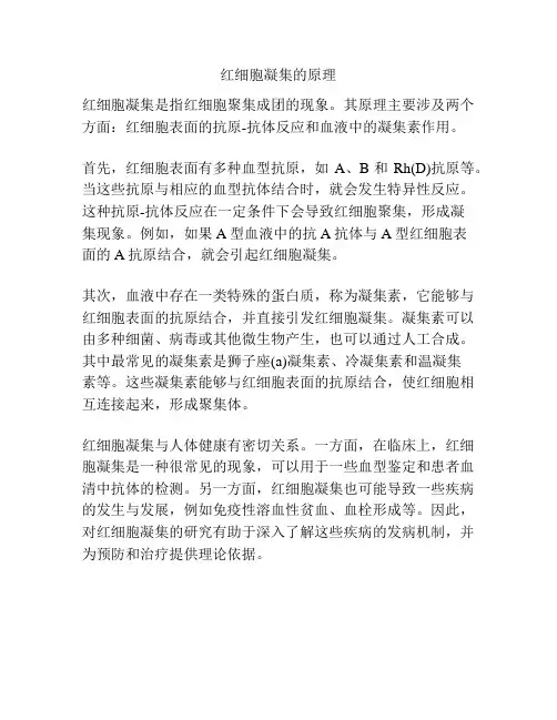 红细胞凝集的原理