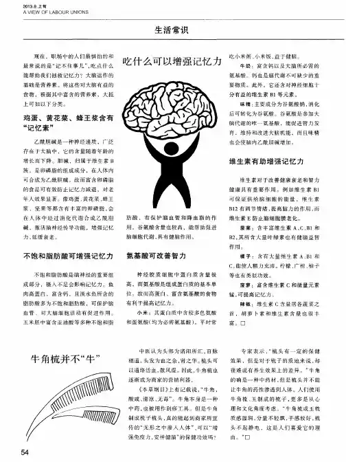 吃什么可以增强记忆力