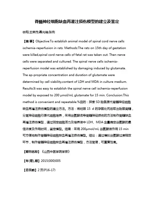 脊髓神经细胞缺血再灌注损伤模型的建立及鉴定