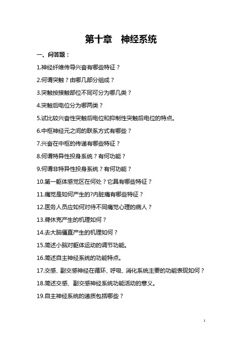 第十章  神经系统