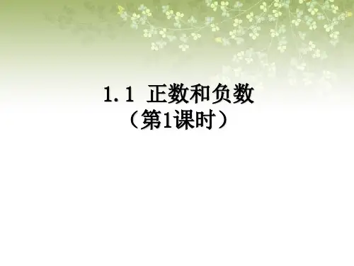 1.1正负数