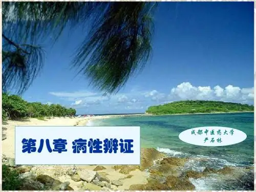 第八章病性辨证