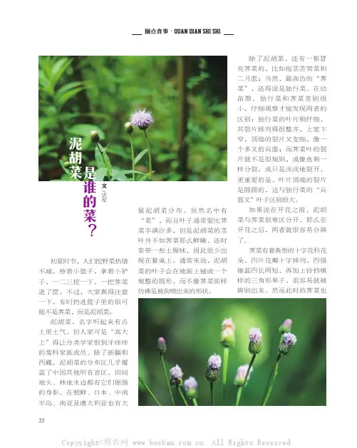 泥胡菜是谁的菜？