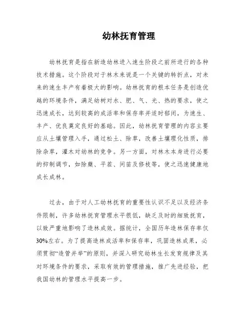幼林抚育管理