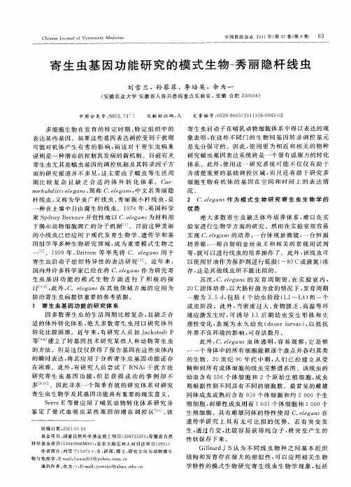 寄生虫基因功能研究的模式生物-秀丽隐杆线虫