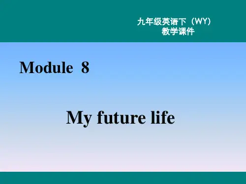 外研版英语九年级课件-Module 8-Unit 1课件