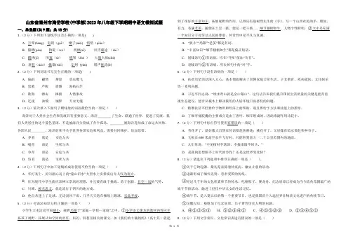 山东省青州市海岱学校(中学部)2023年七年级下学期期中语文模拟试题