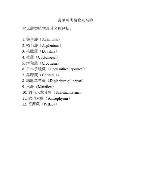 常见蕨类植物及名称