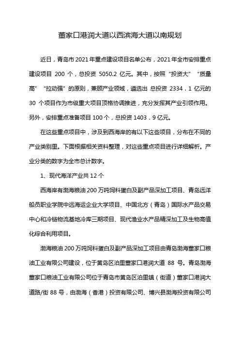 董家口港润大道以西滨海大道以南规划