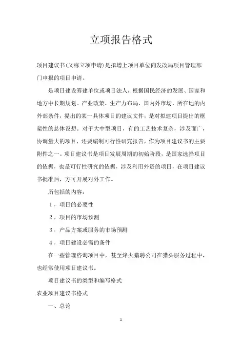 立项报告格式