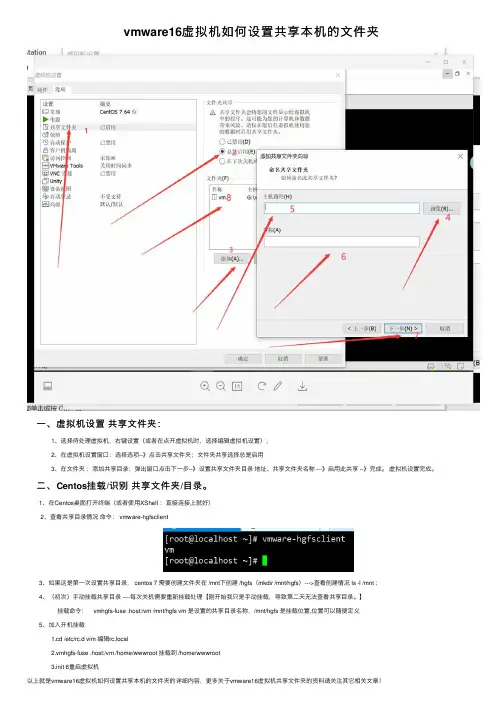 vmware16虚拟机如何设置共享本机的文件夹