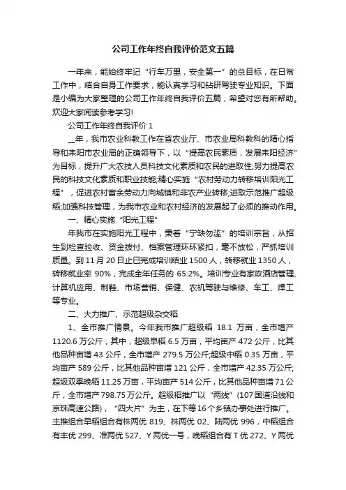 公司工作年终自我评价范文五篇