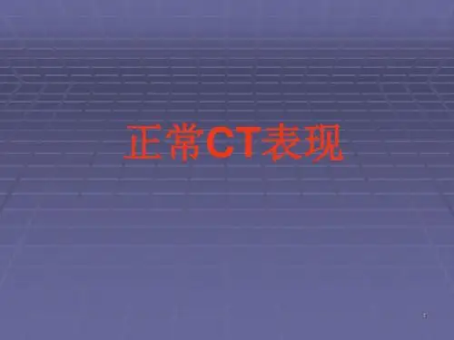 正常胸肺部CT影像学医学PPT课件