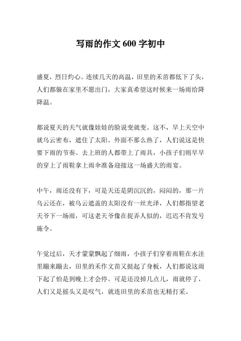 写雨的作文600字初中