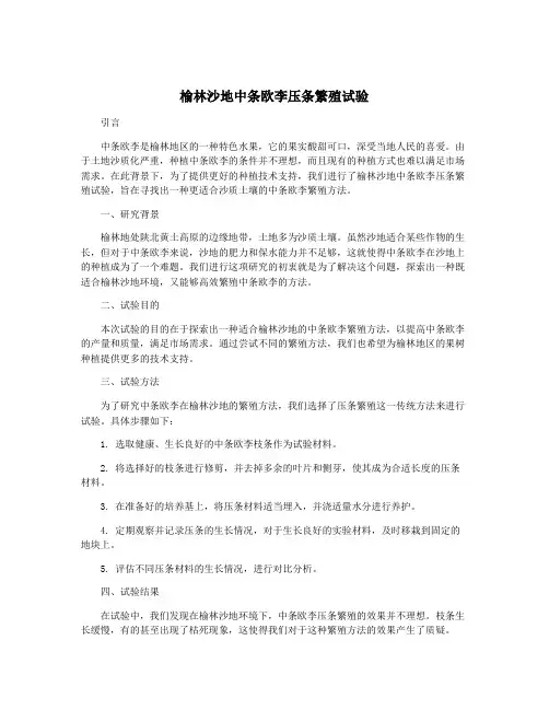 榆林沙地中条欧李压条繁殖试验
