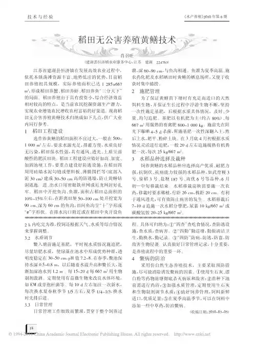 稻田无公害养殖黄鳝技术