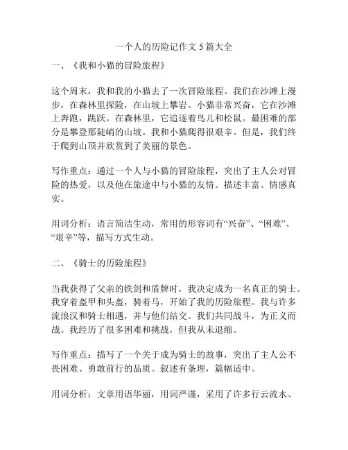一个人的历险记作文5篇大全