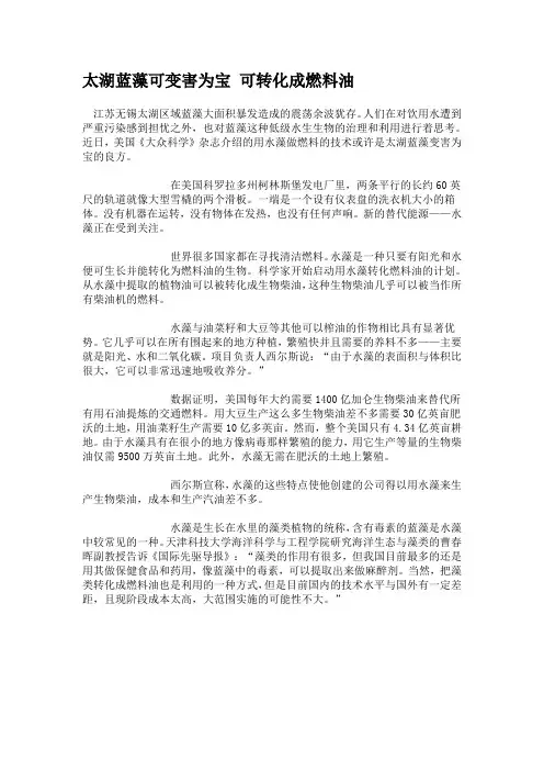 太湖蓝藻可变害为宝 可转化成燃料油