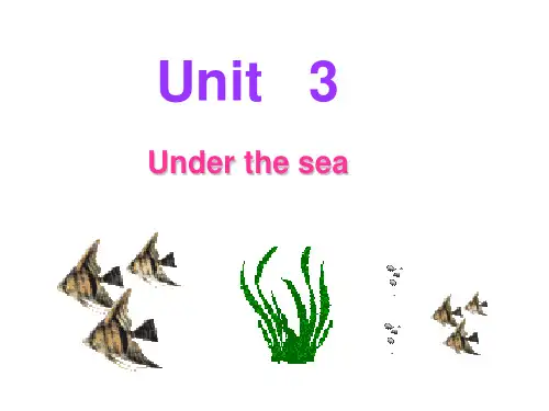 新人教选修7Unit3UndertheseaReading阅读