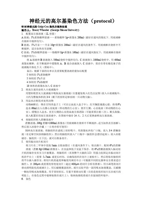 神经元的高尔基染色法(protocol)