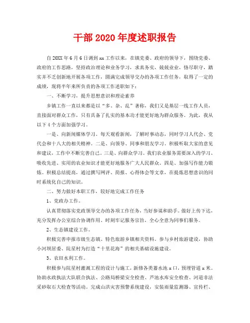 干部2020年度述职报告