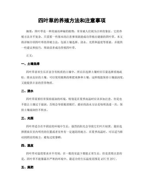四叶草的养殖方法和注意事项