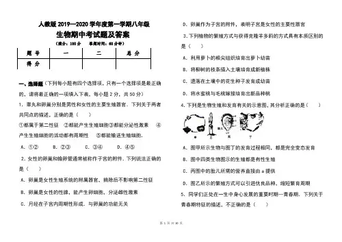 人教版2019--2020学年度第一学期八年级生物期中考试题及答案
