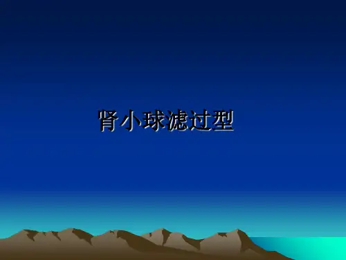 最新肾小球滤过型ppt课件