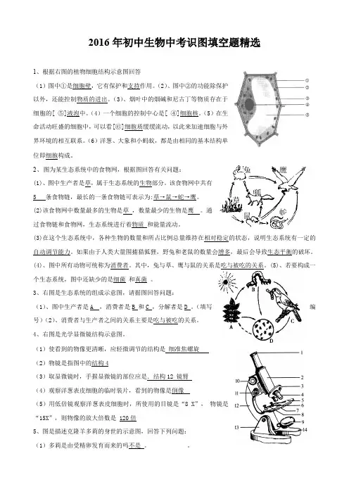 生物中考识图填空题精选
