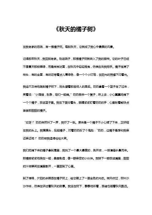 秋天的橘子树