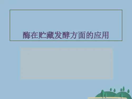 酶在贮藏发酵方面的应用