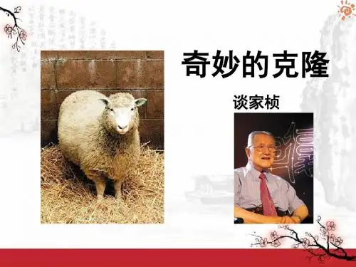 《奇妙的克隆》PPT课件9 (共17张PPT)