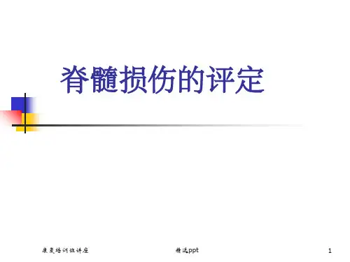 《脊髓损伤评定》