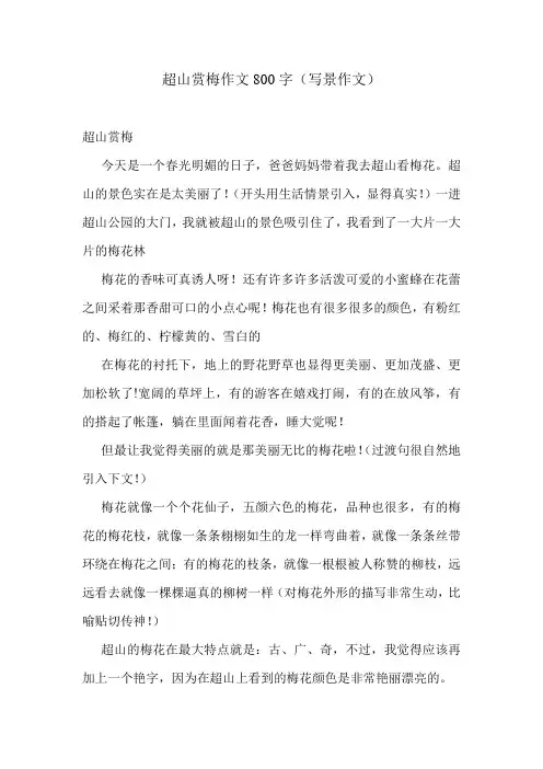 超山赏梅作文800字(写景作文)