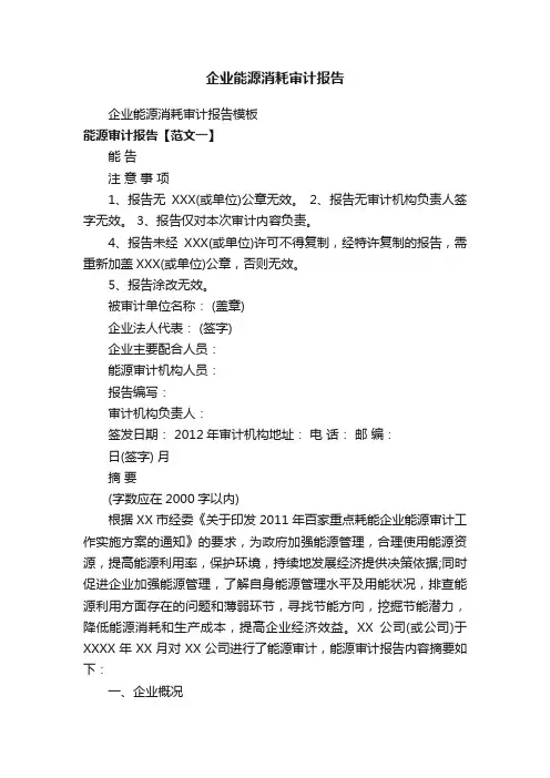 企业能源消耗审计报告