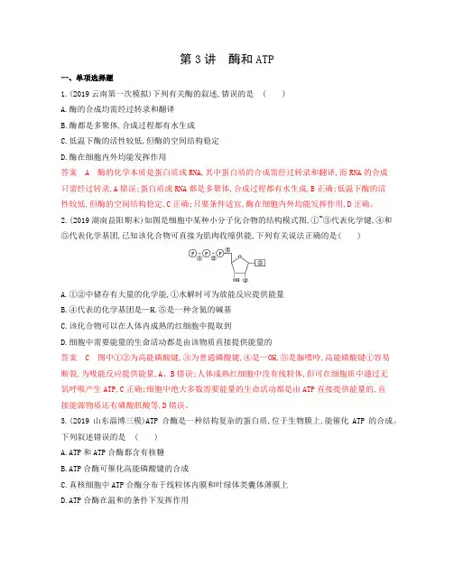 第3讲 酶和ATP 高考生物(山东)二轮复习