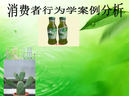 消费者行为学案例PPT