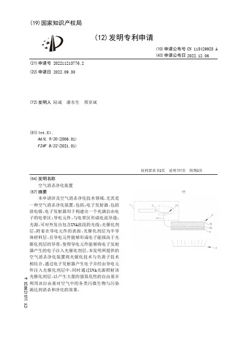 CN115429925A-一种空气消杀净化装置