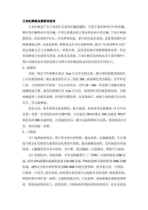 日本红枫病虫害防治技术