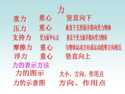 初中力学总复习