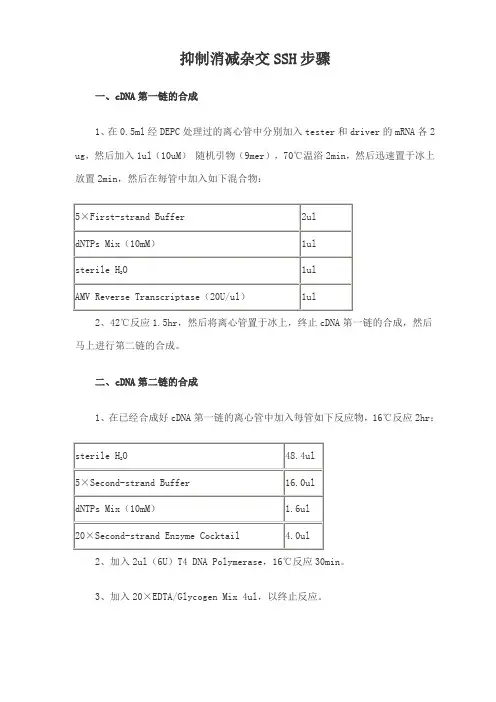 抑制消减杂交SSH步骤(精)