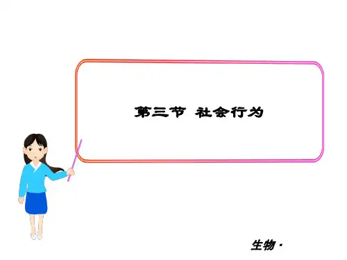 最新人教版八年级生物上册 第五单元 第二章3.第三节  社会行为 课件