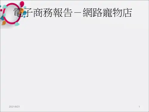 《电子商务报告》PPT课件_OK