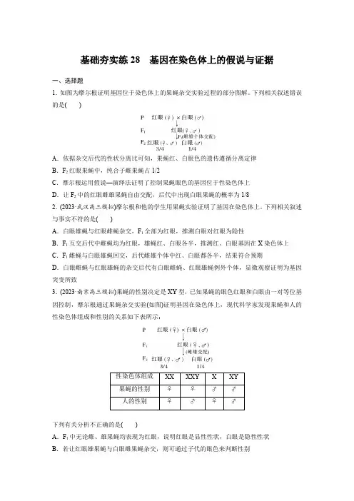 2024届高三生物一轮复习基础夯实练28：基因在染色体上的假说与证据