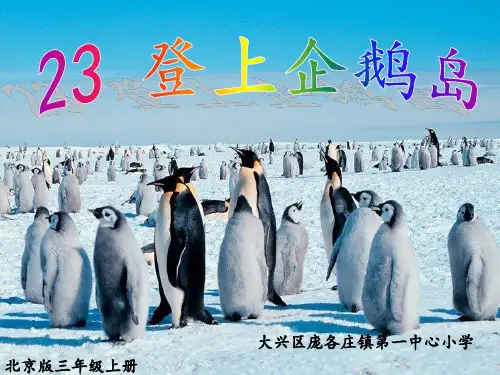 登上企鹅岛二PPT课件