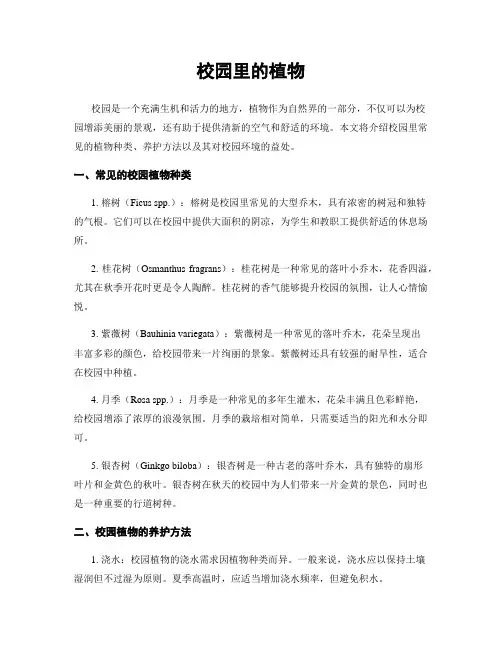 校园里的植物