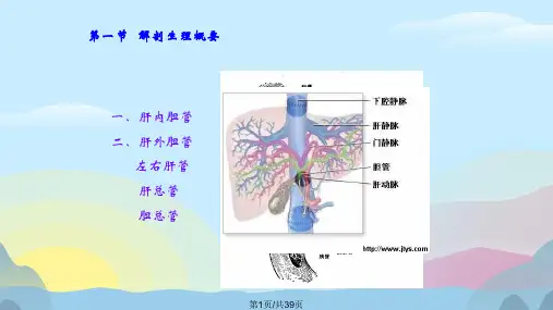 胆囊结石胆囊炎实用课件PPT完美版