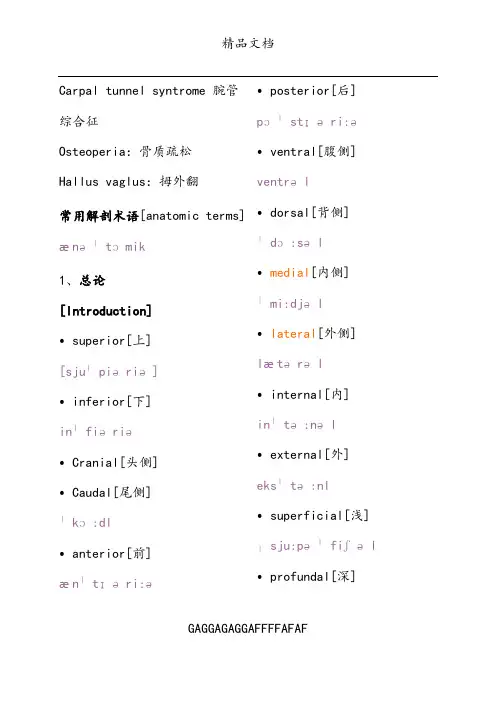 骨科常用英语词汇