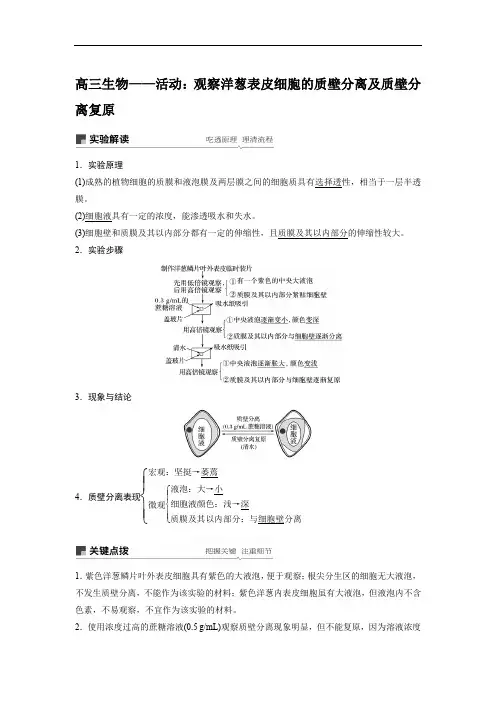 高三生物——活动：观察洋葱表皮细胞的质壁分离及质壁分离复原