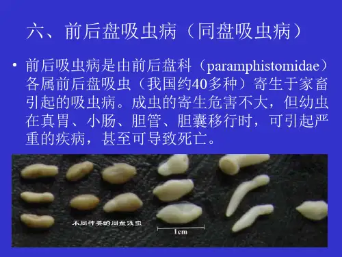 前后盘吸虫病PPT课件